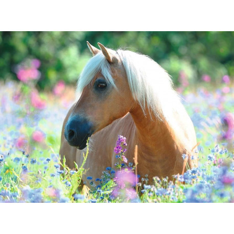 Ravensburger poni kukkaniityllä 300 p